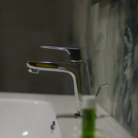 Guest house Artemisia *