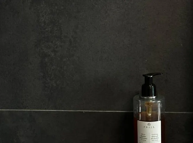 Gasthuis Artemisia Olbia